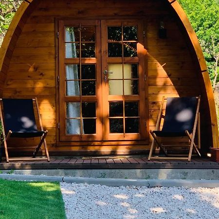 Gallas Pod House Vouzela Exteriör bild