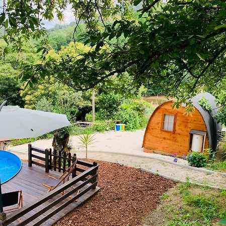 Gallas Pod House Vouzela Exteriör bild