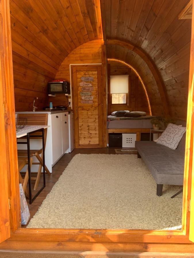Gallas Pod House Vouzela Exteriör bild