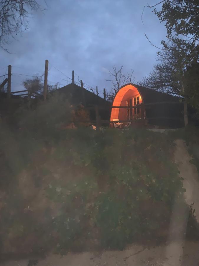 Gallas Pod House Vouzela Exteriör bild