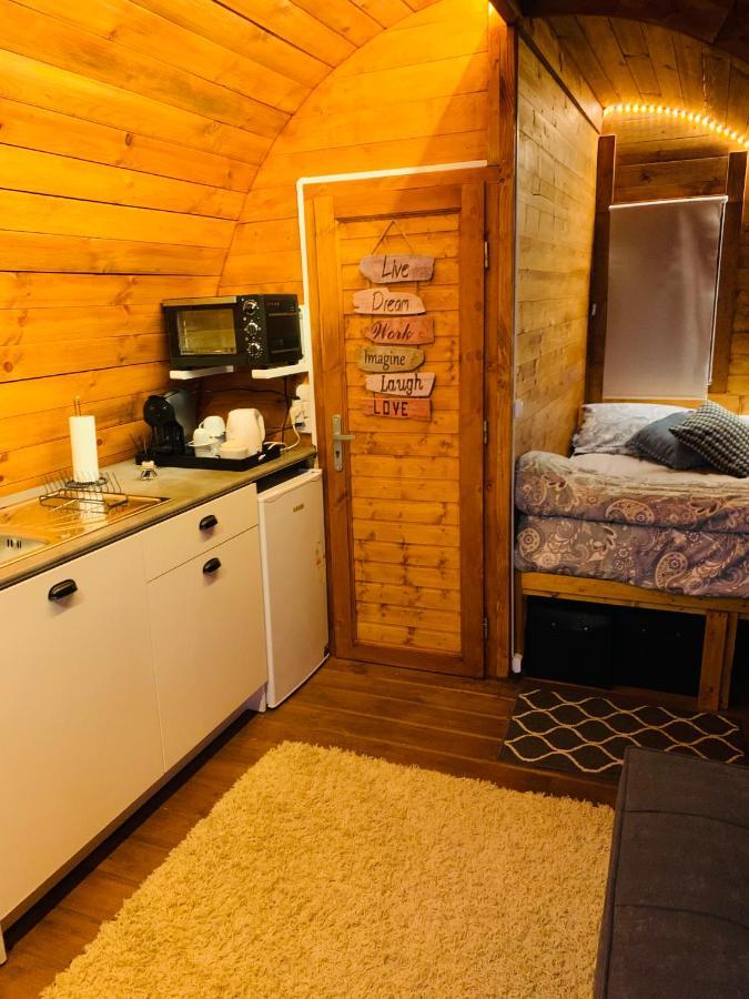 Gallas Pod House Vouzela Exteriör bild