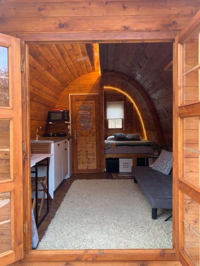 Gallas Pod House Vouzela Exteriör bild